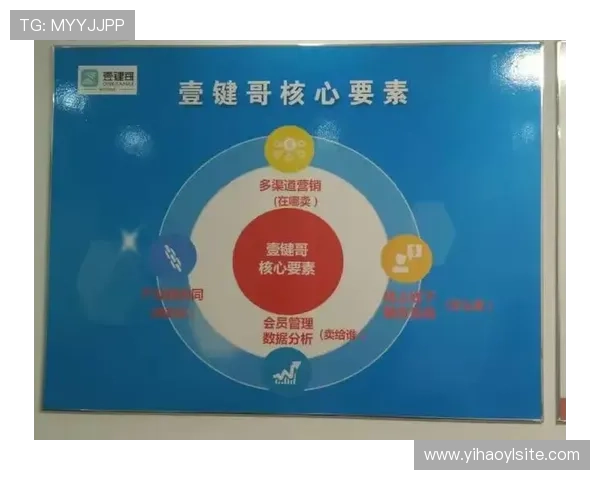 壹号官方入口:官方入口提供多渠道登录保障您的使用安全